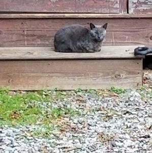 Meet your Posher, Colin